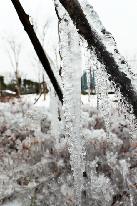 一場(chǎng)雪，體育中心美得不要不要的 但最美的風(fēng)景還是他們(圖4)
