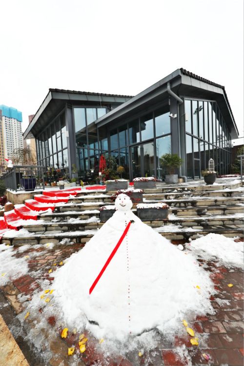 一場(chǎng)雪，體育中心美得不要不要的 但最美的風(fēng)景還是他們(圖11)